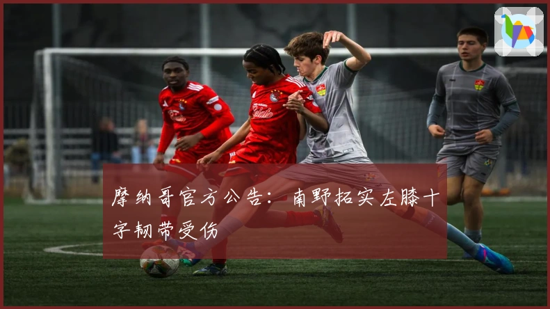 摩纳哥官方公告：南野拓实左膝十字韧带受伤
